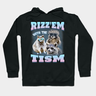 Rizz Em With The Tism Raccoon Meme There Trash Panda Funny Hoodie